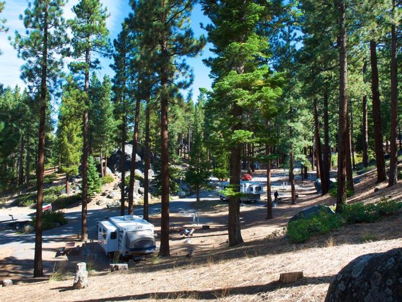 Scenic view of a campground in a forested area with several parked RVs and scattered picnic tables among tall pine trees, with sunlight filtering through the branches.