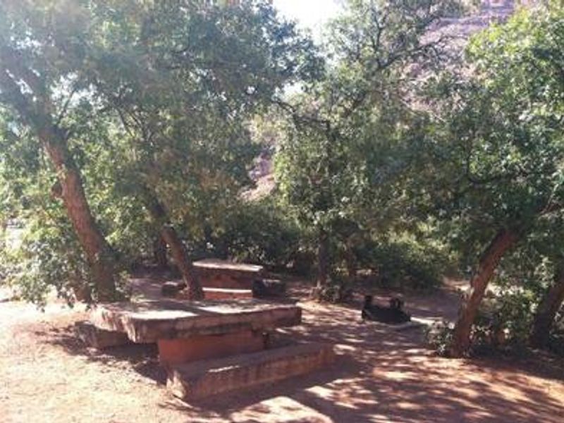 Big Bend Group Site A (2)