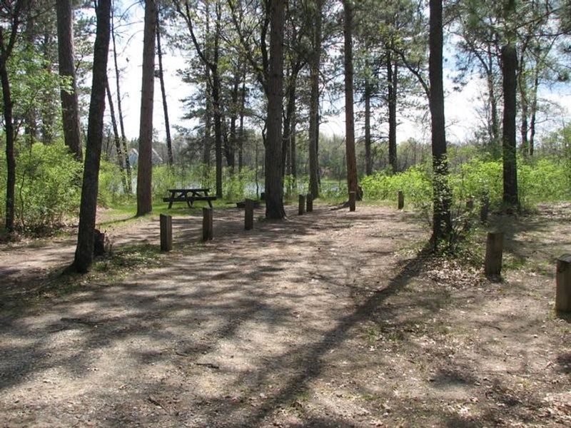 A campsite at Mack Lake ORV Campground