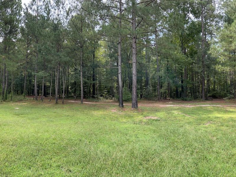 A photo of facility Longleaf Campground with No Amenities Shown