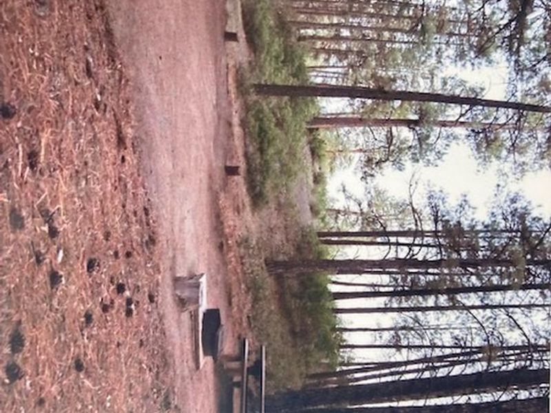 Campsite 14, Ute Campground