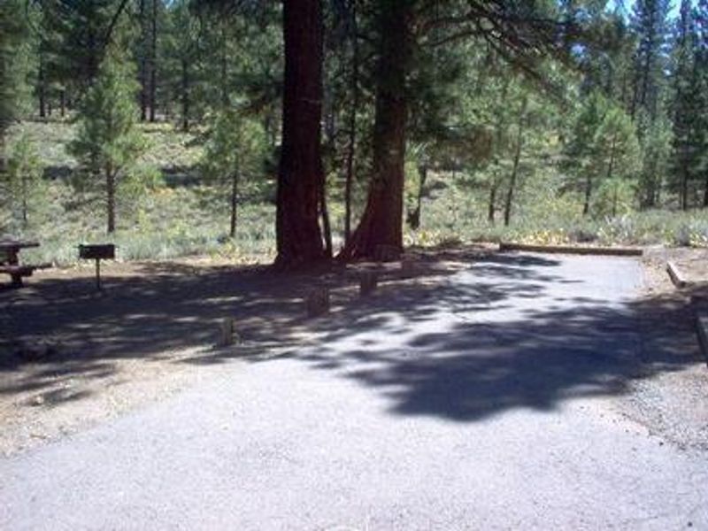 Logger Campground