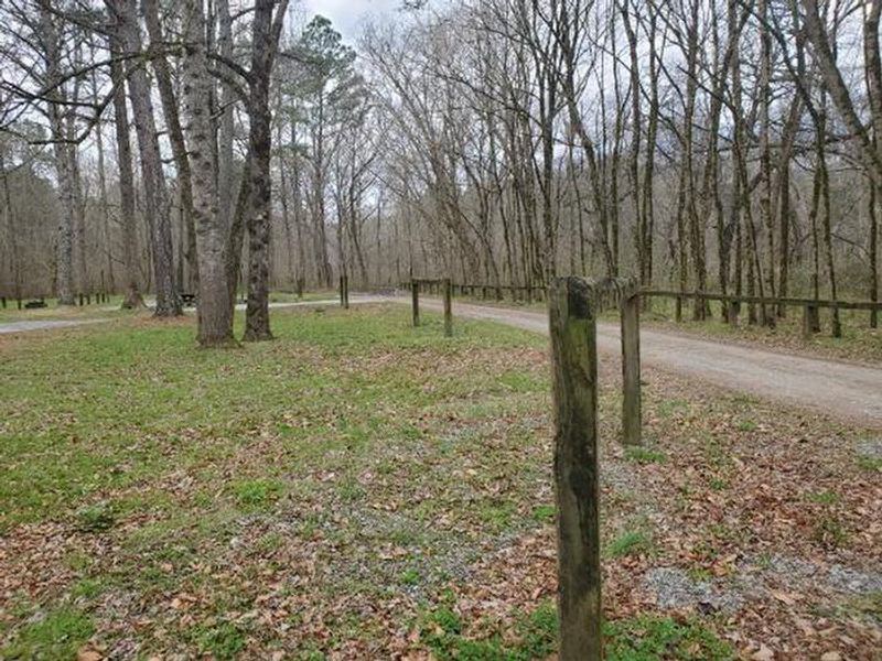 A photo of facility Cottonwood Patch Campground 