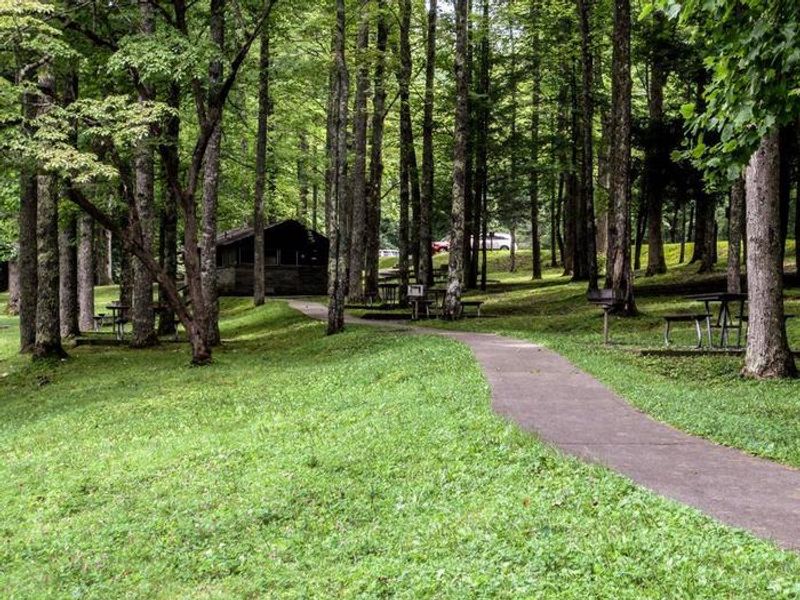 Overflow picnic tables and paved pathway to restroom