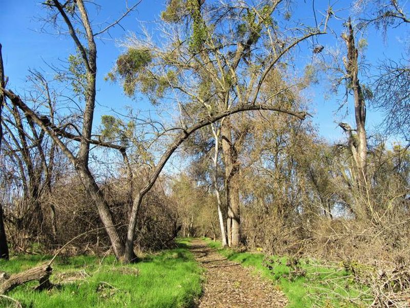 Scenic nature trail along the Stanislaus River at McHenry Avenue Recreation Area