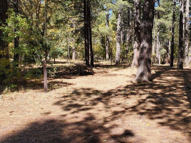 Double Springs Campsite