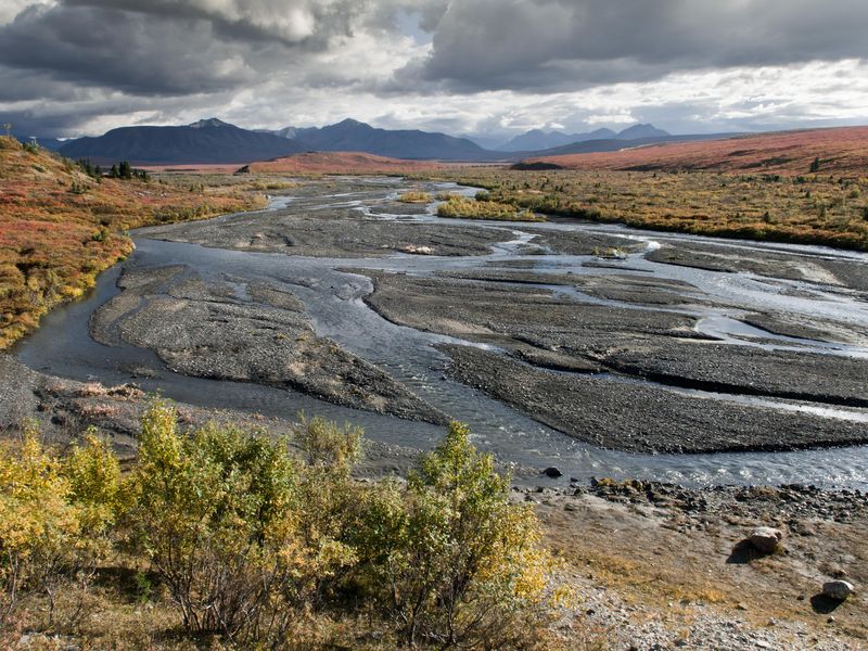 A short walk southwest of the campground is Savage River, which flows northward from the Alaska Range.