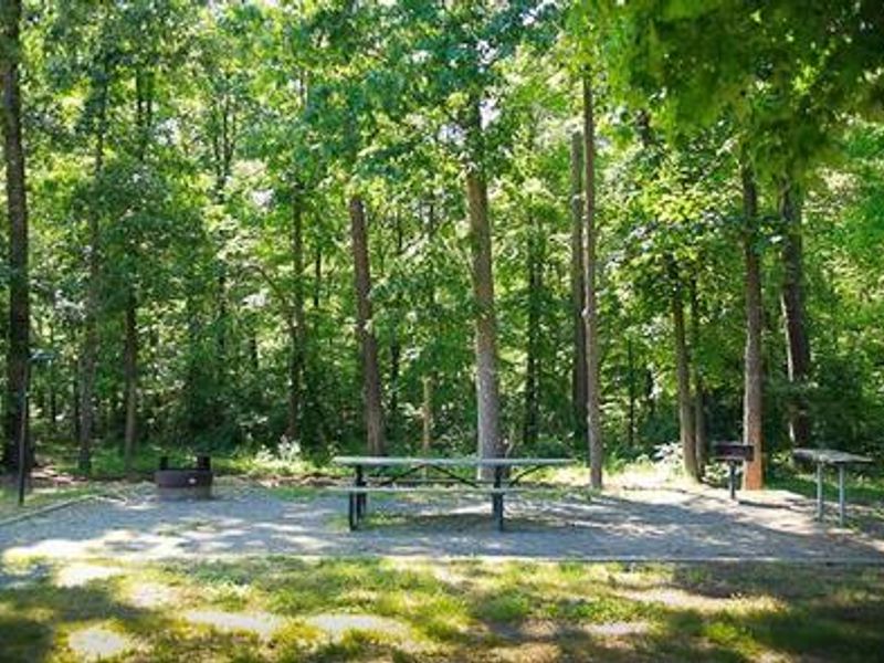 Campsites have electric hookups, picnic tables, tack tables, lantern hooks, grills and fire rings and horse tie out area.