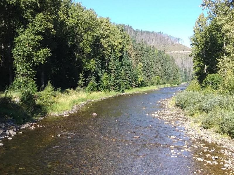 Coeur d’Alene River at Big Hank Campground