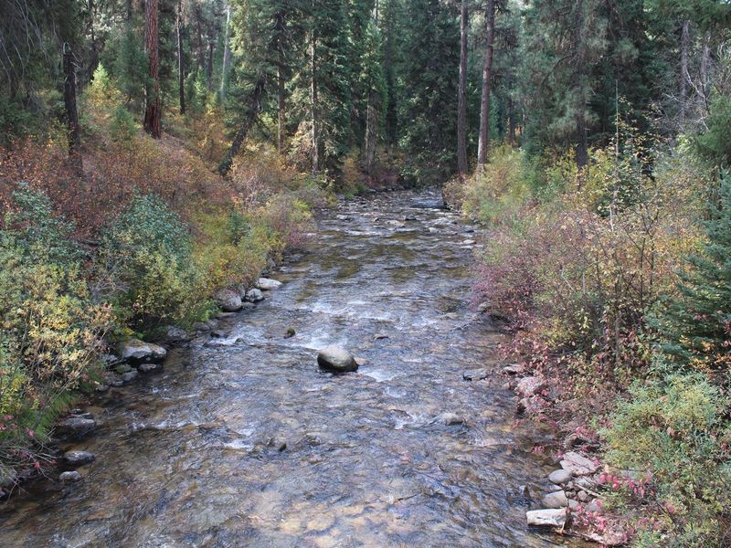 Clear Creek, Near campground 