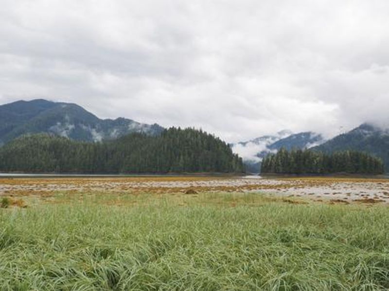 Harding River Cabin scenery