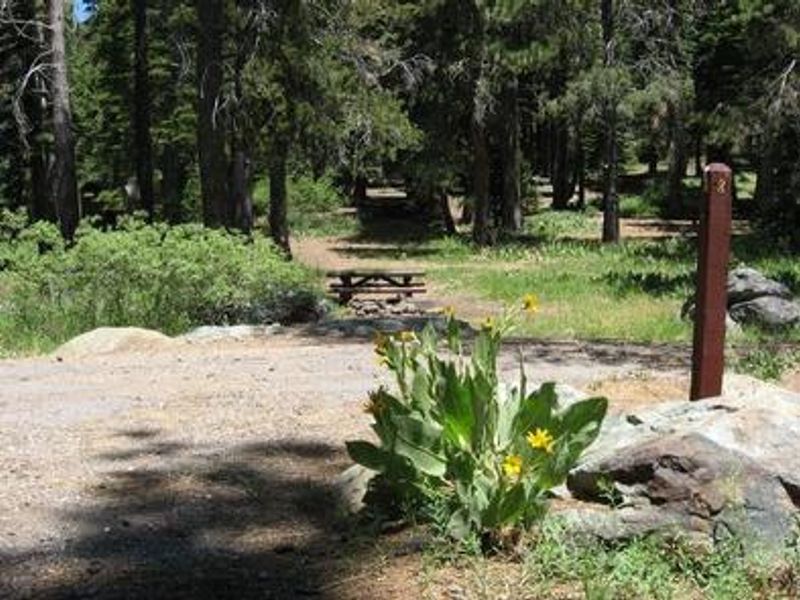 Salmon Creek Campground