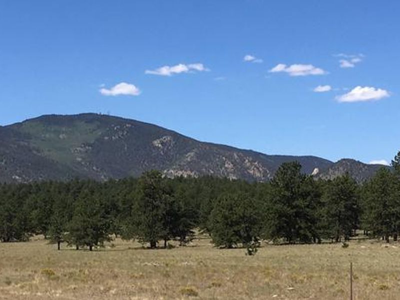 Round Mountain Campground