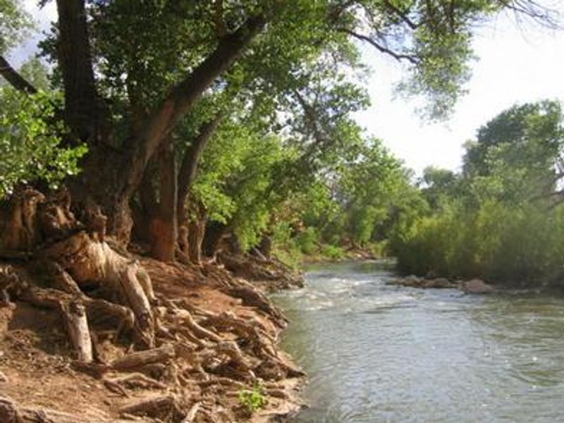 Virgin River runs along the backside of A and B loop.
