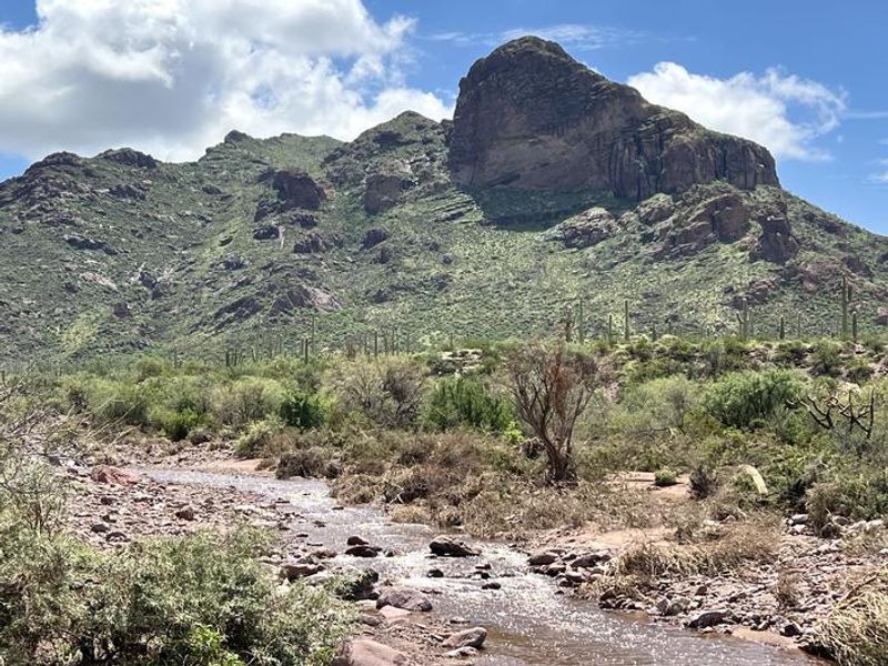 The view from Alamo Canyon.  Water runs in the wash during parts of the year.