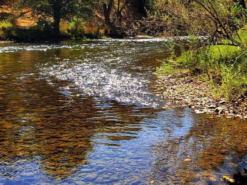 Campers can enjoy this peaceful view right from their tent.