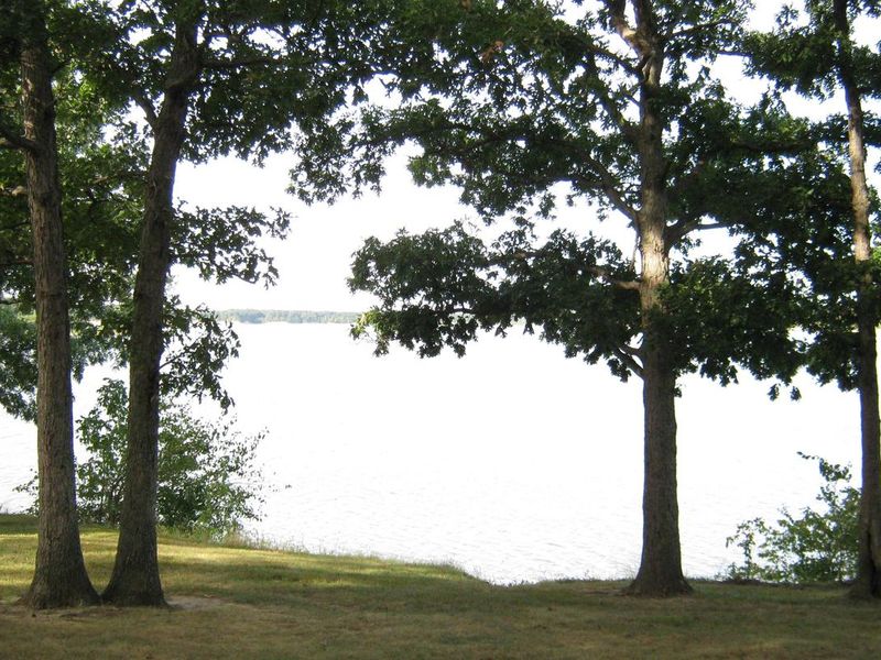 View Picnic Shelter 1