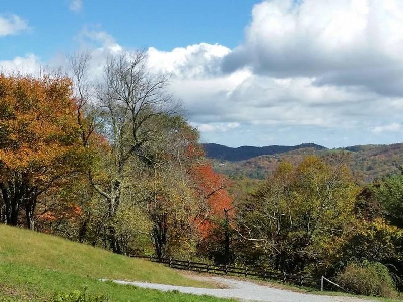 Scenic hiking is available on the carriage roads of the Moses Cone Estate, a nearby attraction on the Parkway.