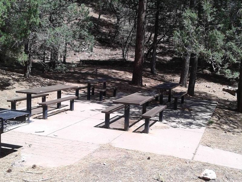 Tables and large grill in group site