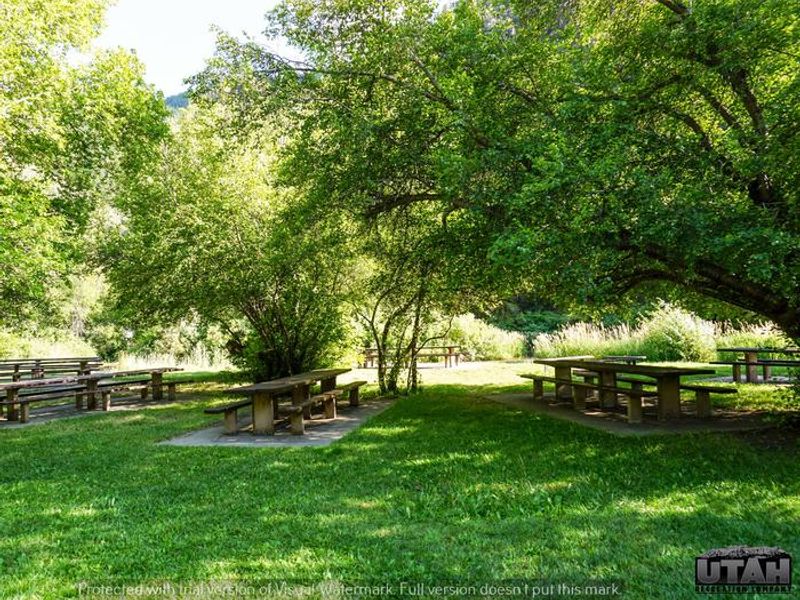 Shenoah Picnic Area
