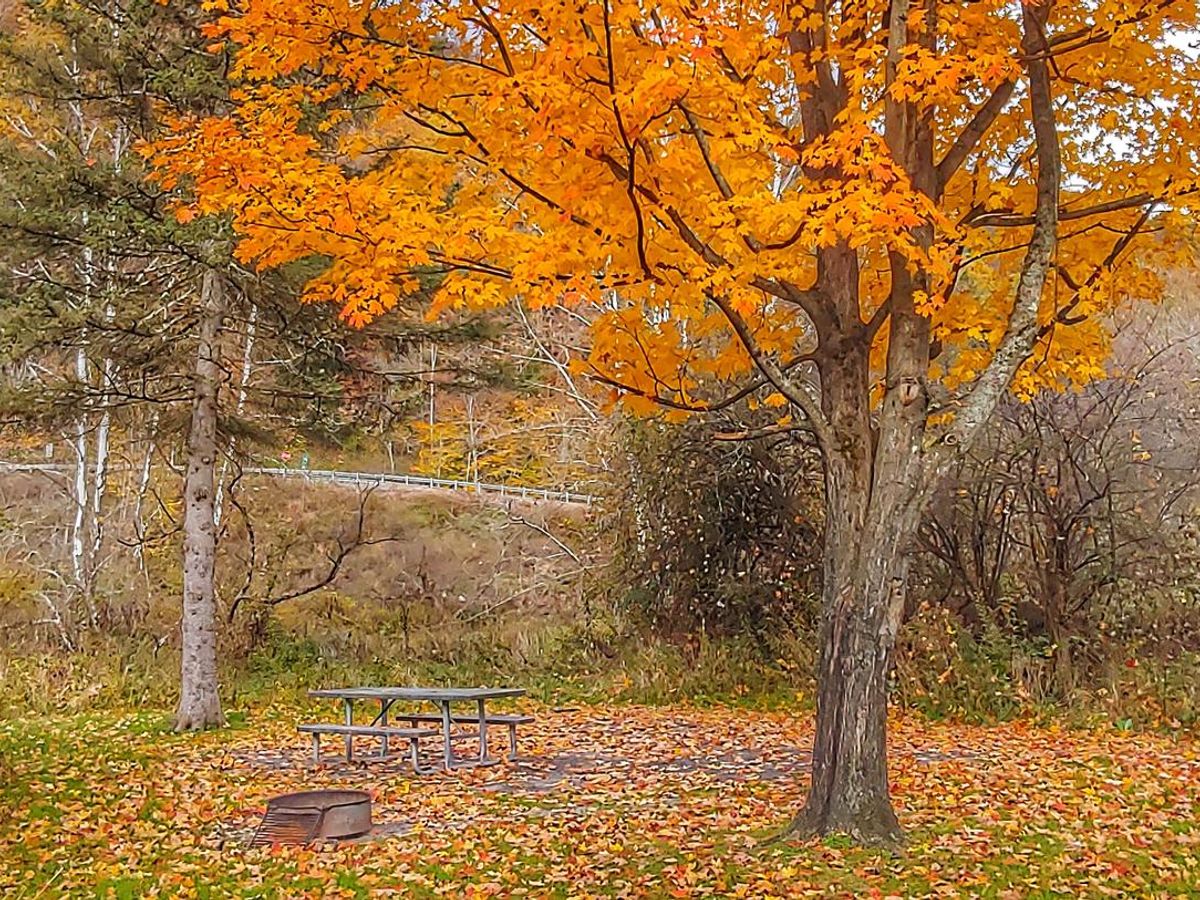 Kellettville Recreation Area Pa photo 2