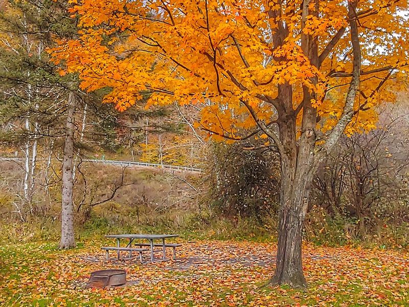 Campsite/ fire ring/picnic table 
