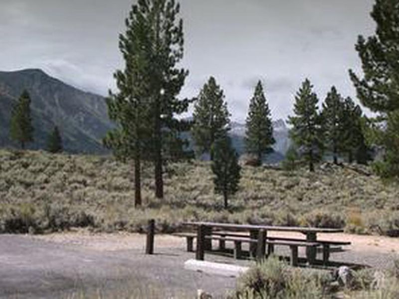 Campsite and picnic table