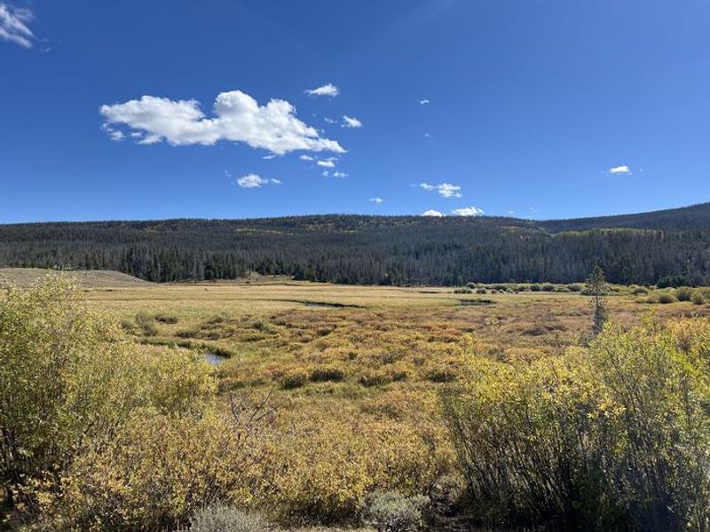 A photo of facility China Meadows Campground with No Amenities Shown