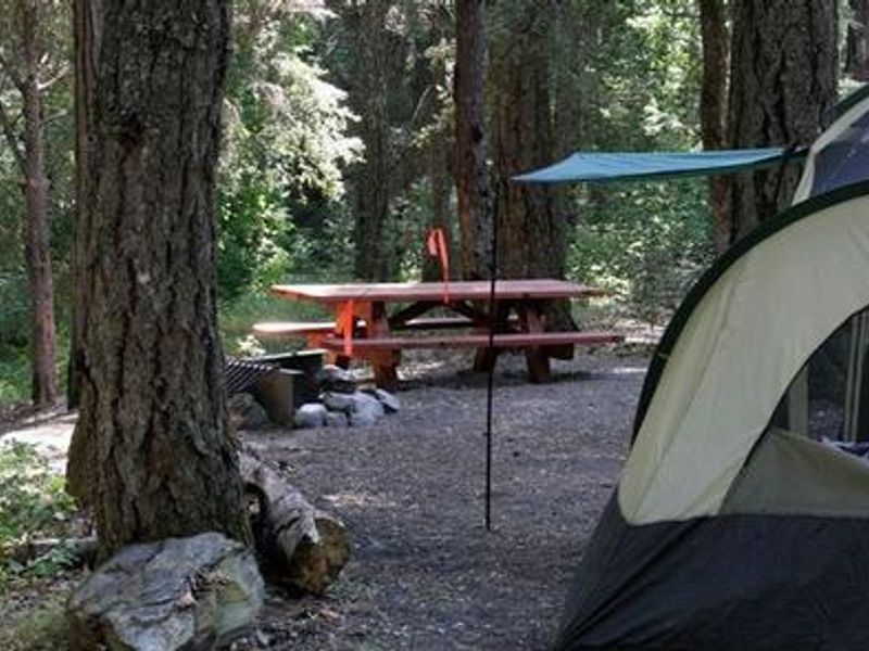 Multiple large group sites along the creek. 