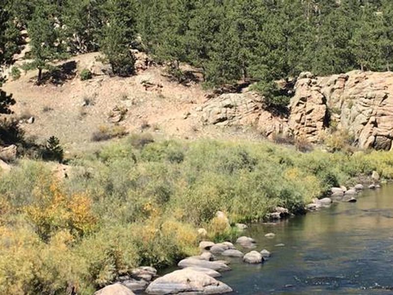 Springer Gulch Campground