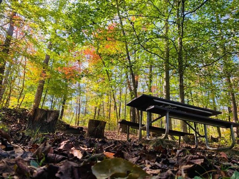 Campsite with picnic table.