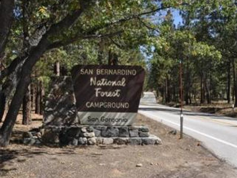 Road leading to the San Gorgonio Campground Sign