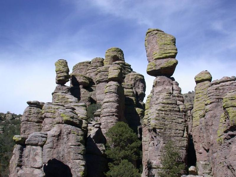Along the Echo Canyon Trail.