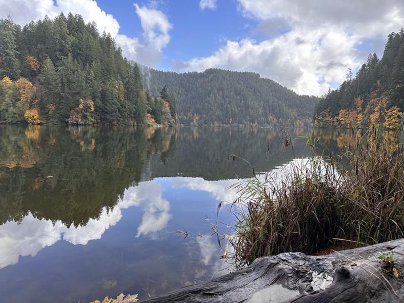 View of Loon Lake from the day use area beach.