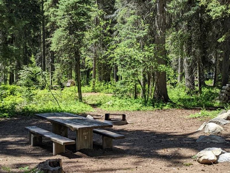 Lake Fork Campground - Site 3