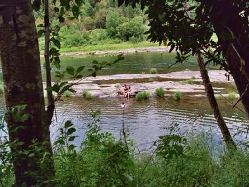 View of the Umpqua River from Tyee Campground.