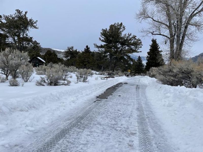 The main roads in Mammoth Campground are plowed in the winter.