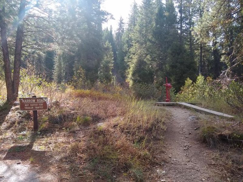The water pump at Hayfork Group Campground is next to a narrow dirt path that leads to the end of the campground.