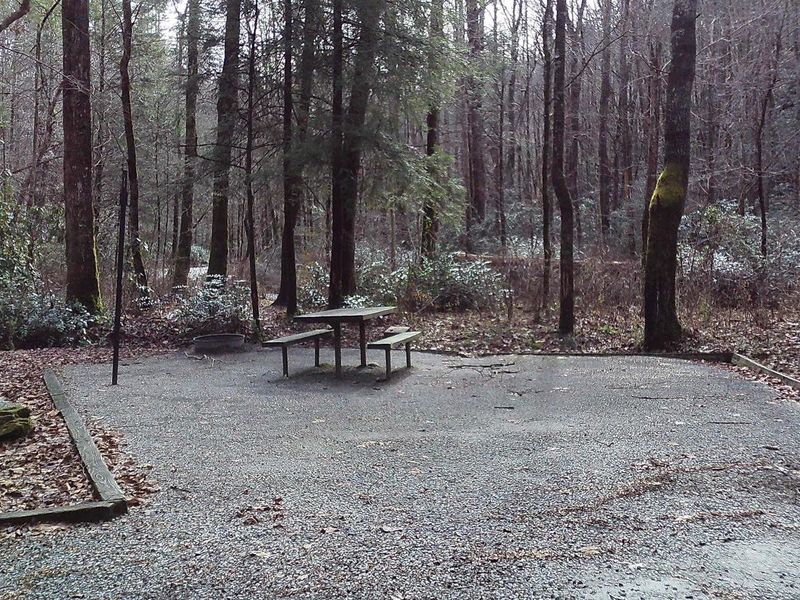 Tate Branch Campsite #7