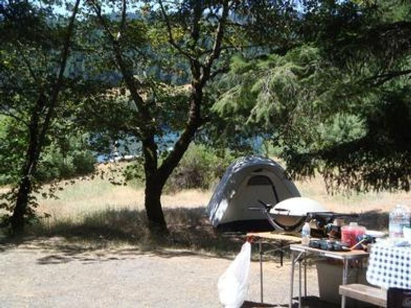 Partially shaded campsite at Fir Cove near the shoreline.