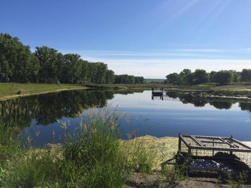 Trout Pond at Downstream Campground Hiking Trail Lake Sakakawea