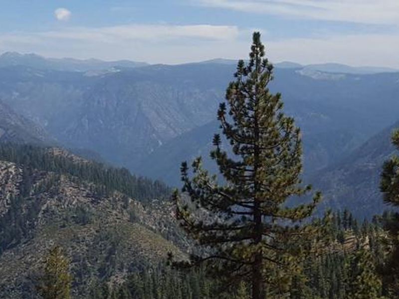 View of North Fork American River Canyon from 19 Road