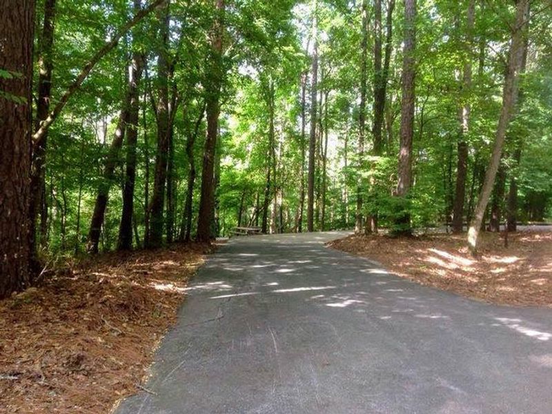 Deerlick Creek Campsite Pad