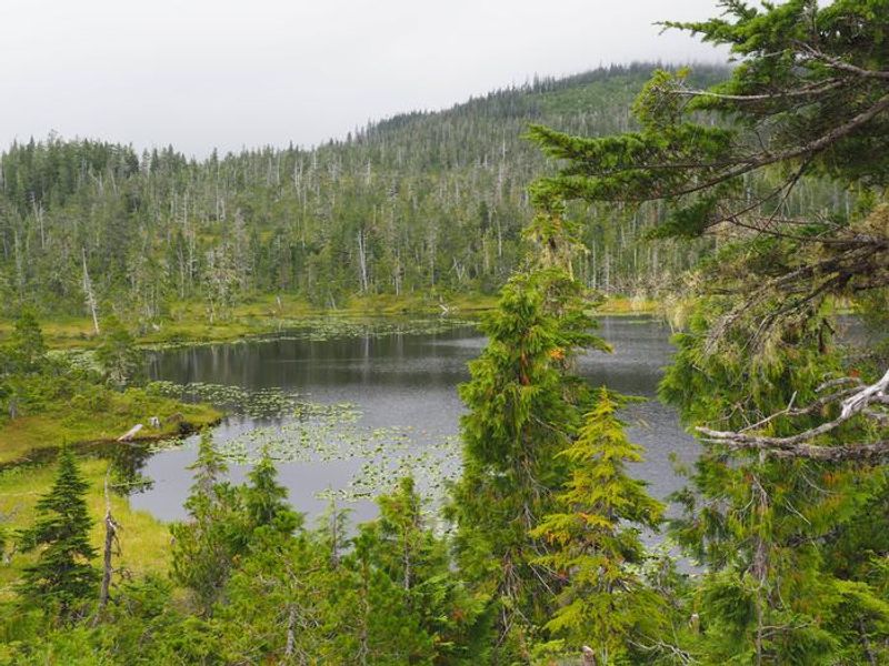 View from Middle Ridge Cabin
