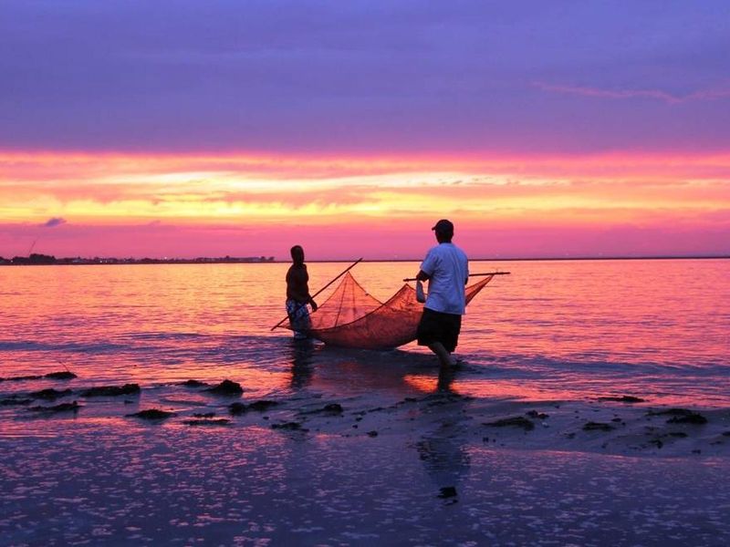Park visitors seining at Horseshoe Cove 
