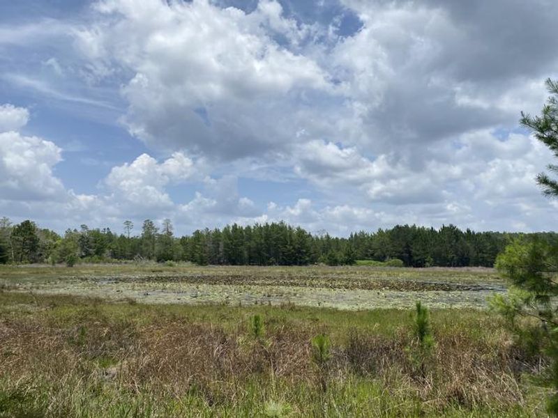A photo of facility Big Bass Campground’s view over the water with walking trails connected to the campground. 