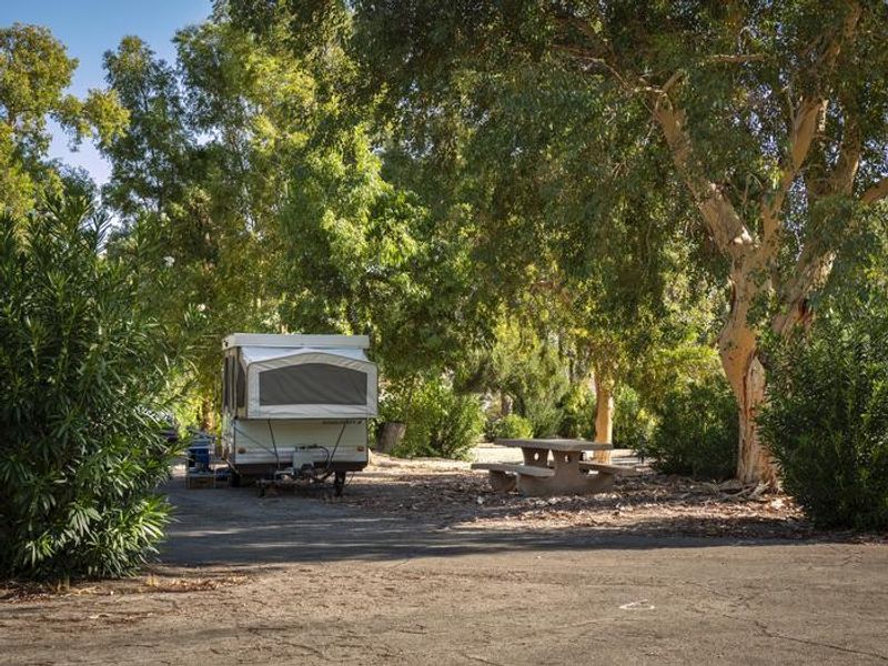 Temple Bar Campground 