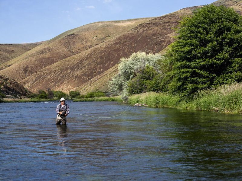 Fishing the “Lower D”