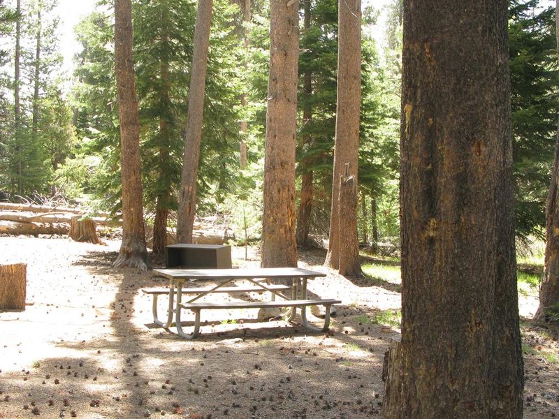 Picnic table, bear bin