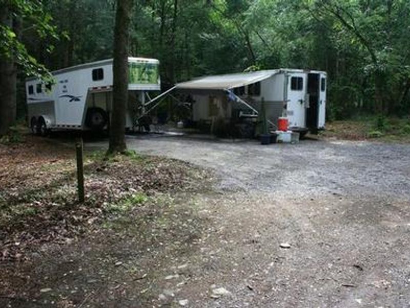 A recreational vehicle set up at Cataloochee Horse Camp